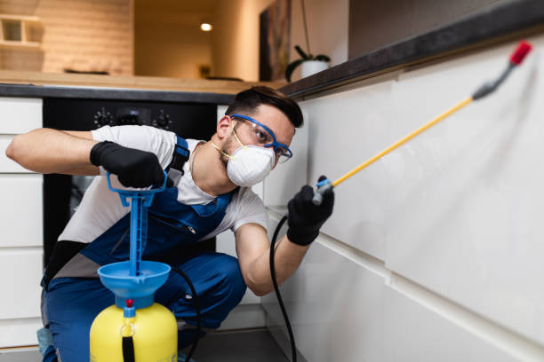 Best Termite Control Services  in Scottsville, NY