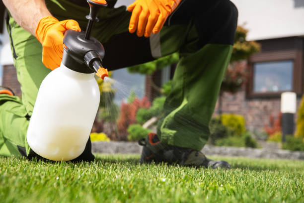 Best Cockroach Control Services  in Scottsville, NY