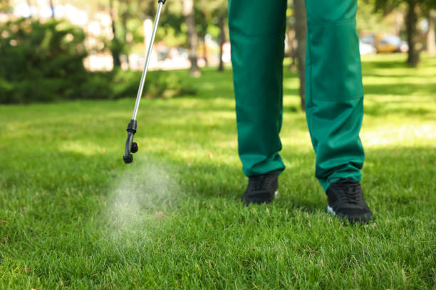 Best Flea Control Services  in Scottsville, NY