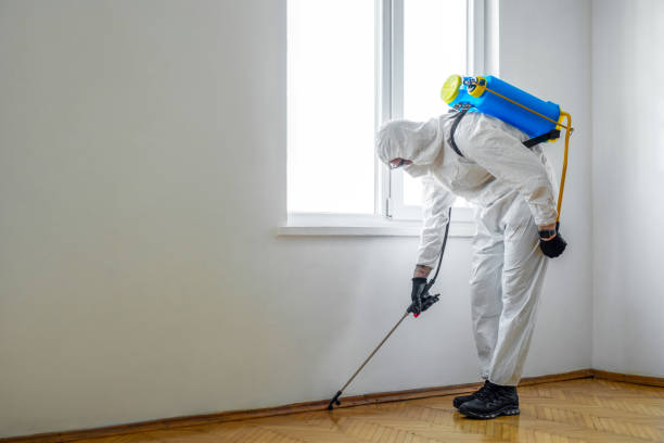  Scottsville, NY Pest Control Pros