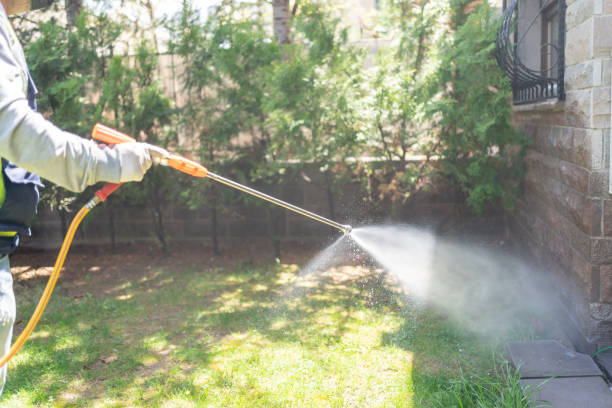 Spider Control Near Me in Scottsville, NY