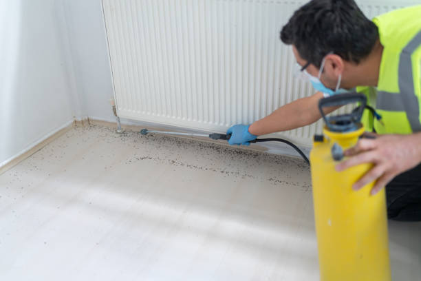 Best Affordable Pest Control Services  in Scottsville, NY